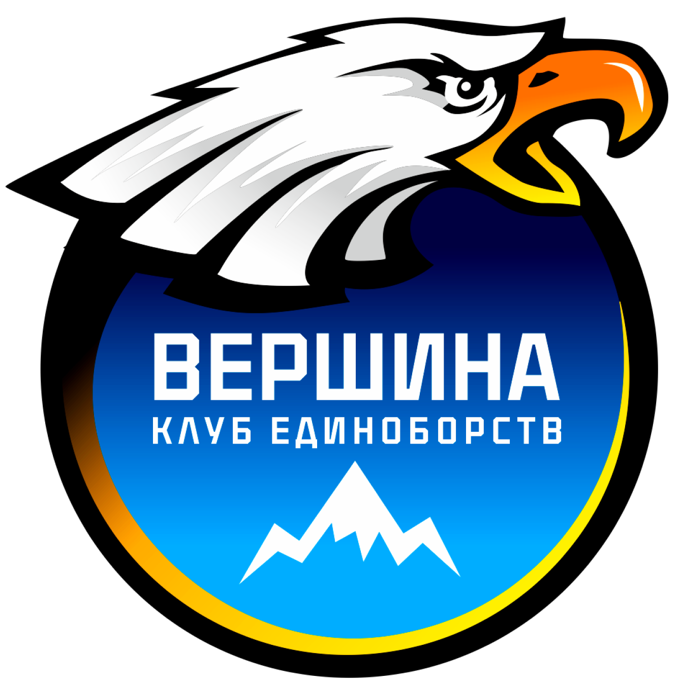 logo-vershina 2.png